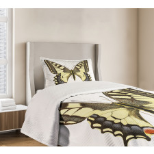 Old Papilio Bedspread Set