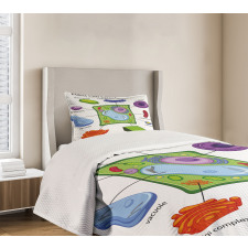 Cartoon Science Bedspread Set