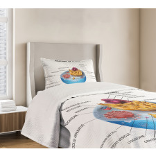 Microscopic Parts Bedspread Set