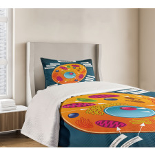 Science at School Bedspread Set