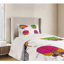 Human Brain Colors Bedspread Set