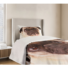 Upset Dog Sad Eyed Pet Bedspread Set