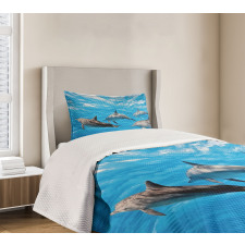 Happily Swimming Fish Bedspread Set