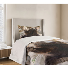 Friendly Animal Waving Paw Bedspread Set