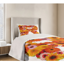 Gerbera Daisies Style Bedspread Set