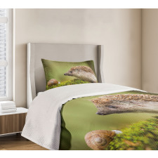 Eastern Europe Scene Bedspread Set