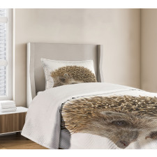 Small Mammal Bedspread Set