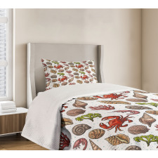 Maritime Shrimps Bedspread Set