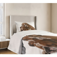 Father and Son Bedspread Set