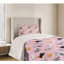 Colorful Baby Kittens Bedspread Set