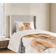 Young Puppy Bedspread Set