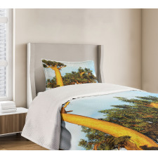 Tropical Baobabs Bedspread Set