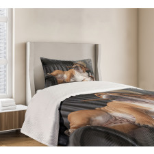 Humorous Dog Drinking Bedspread Set