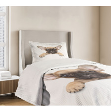 Pedigreed Young Puppy Bedspread Set