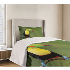 Keel Billed Toucan Bedspread Set