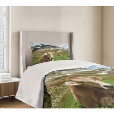 Alpine Mountain Milk Cow Bedspread Set