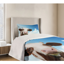 Staring Brown Animal Bedspread Set