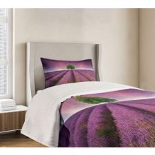 Lavender Fields and Tree Bedspread Set