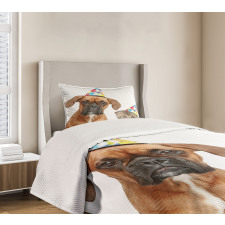 Funny Dog Scottish Cat Bedspread Set