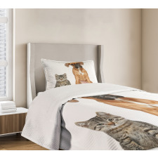 Cat Dog Animal Friends Bedspread Set