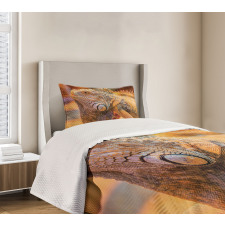 Caribbean Arboreal Animal Bedspread Set