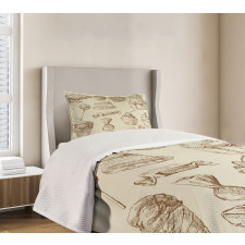 Pieces of Cake Creamy Doodle Bedspread Set