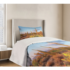 Cacti in Sonoran Desert Bedspread Set