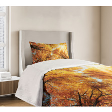 Autumn Sunbeams Forest Bedspread Set