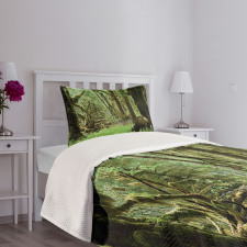 Roosevelt Elk in Park Bedspread Set