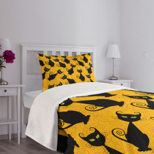 Black Cat Vintage Bedspread Set