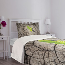 Dried Earth Planet Bedspread Set