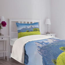 Alps with Meadow Flora Bedspread Set