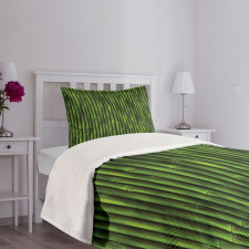 Tropical Bamboo Stems Bedspread Set