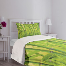 Bamboo Sprout Stem Forest Bedspread Set