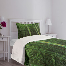 Exotic Bamboo Tree Forest Bedspread Set
