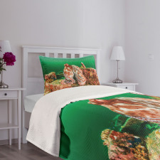 Octopus in Water Bedspread Set