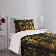 Summertime Forest Tree Bedspread Set