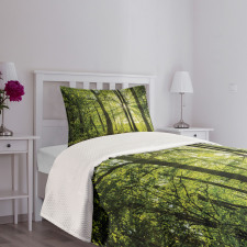 Sunny Forest Springtime Bedspread Set