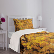 Fall Pale Maple Trees Bedspread Set