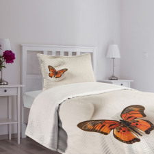 Butterfly Rocks Healing Bedspread Set