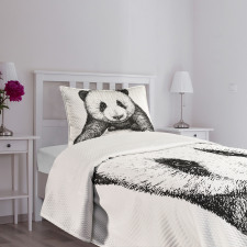 Baby Panda Bear Sketch Bedspread Set