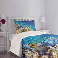 Aquatic Corals Bedspread Set