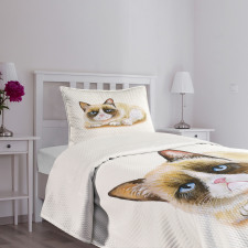 Grumpy Angry Cat Love Bedspread Set