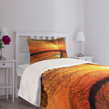 Sunset View with Trees Bedspread Set