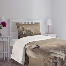 White Wolf on the Rocks Bedspread Set