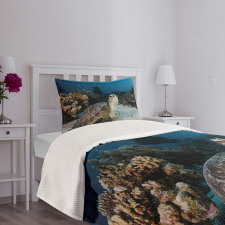 Turtle Coral Reef Bedspread Set