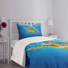 Blue Waters Swimming Bedspread Set
