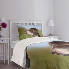 German Pointer Bedspread Set