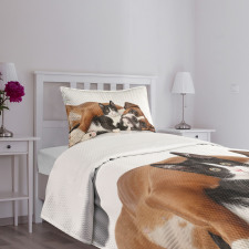 Cat Dog Friendship Bedspread Set