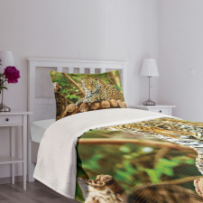 Jaguar on Wood Wild Feline Bedspread Set
